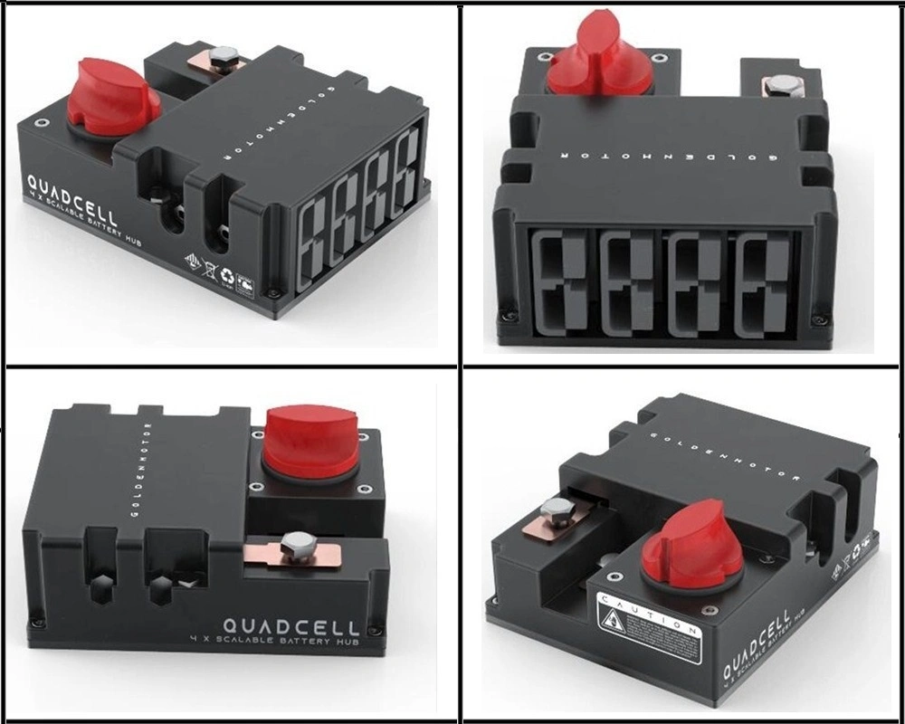 Portable Exandable LiFePO4 Lithium-Ion/Li-ion/Lithium Battery Module with BMS for EVs