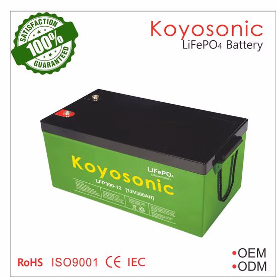 48-V-Lithium-Batterie-Rack 50 Ah 100 Ah 200 Ah Tesla 51,2 V LiFePO4-Batterie 2,5 kWh 5 kWh 10 kWh 15 kWh Lithium-Ionen-Akku Li-Ion-Heimspeicherbatterie Telekommunikations-USV