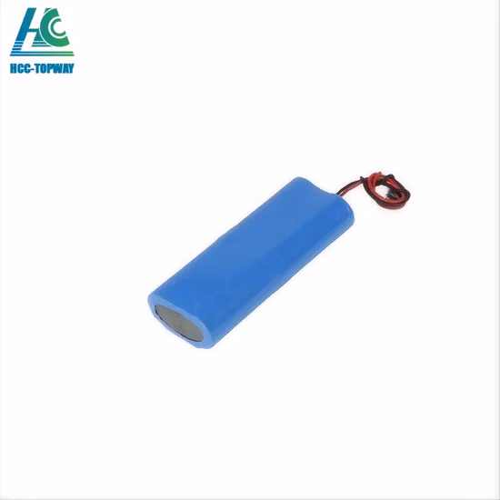 Li-Ionen-Akku 5ah/6ah Li-Ionen-Akkus für Elektrofahrräder